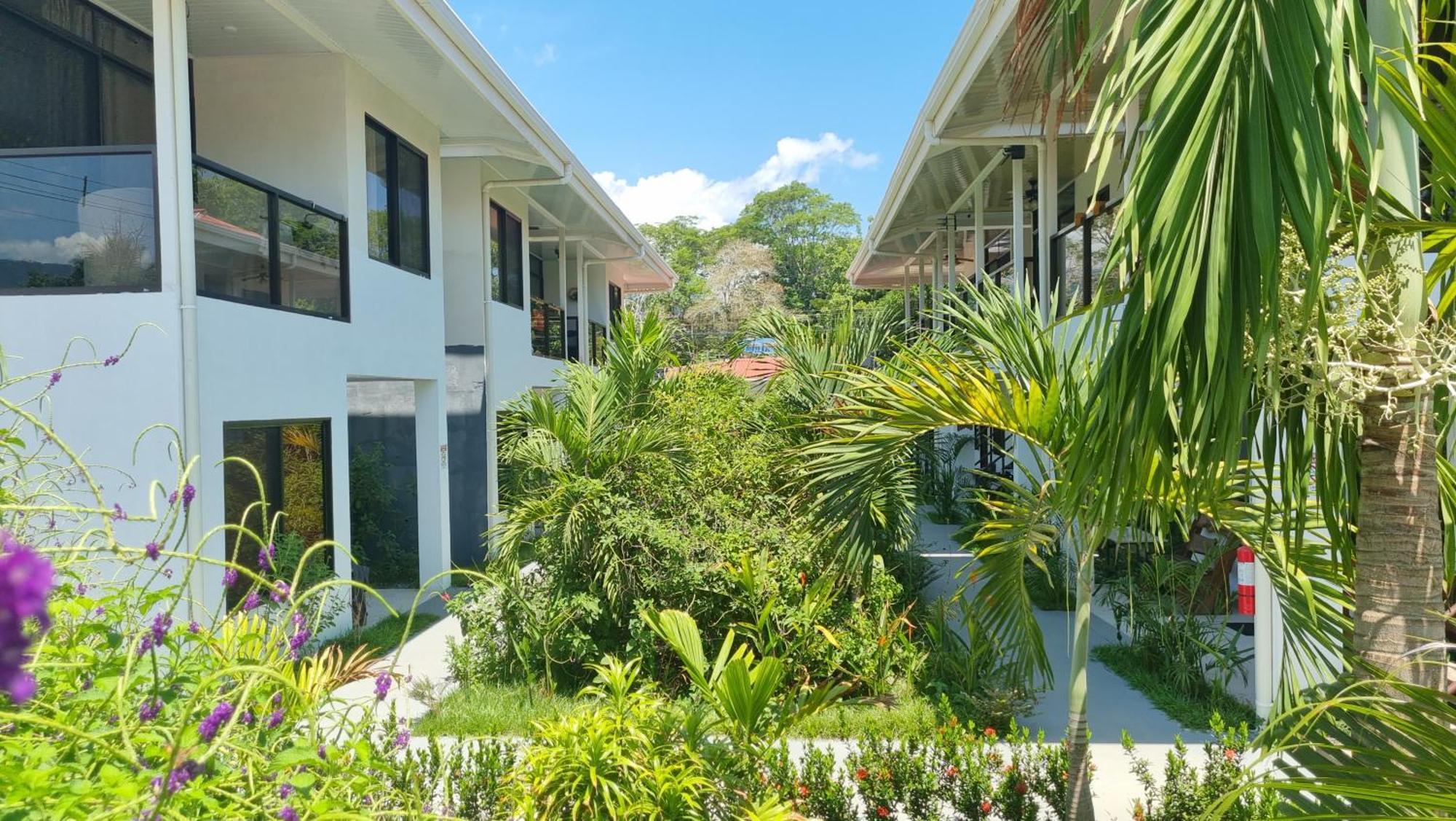 Ballena Rey Hotel Uvita Exterior foto