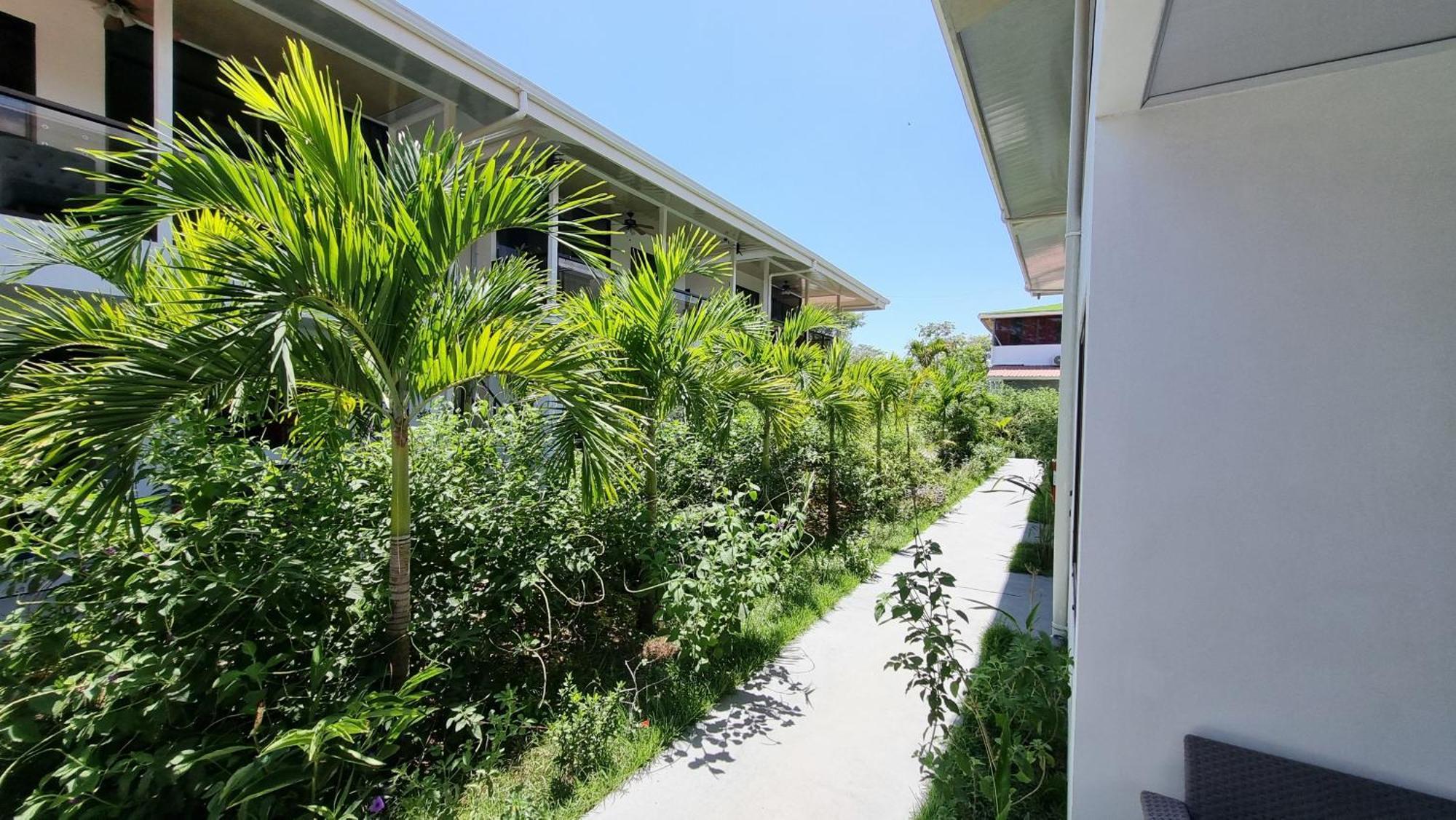 Ballena Rey Hotel Uvita Exterior foto