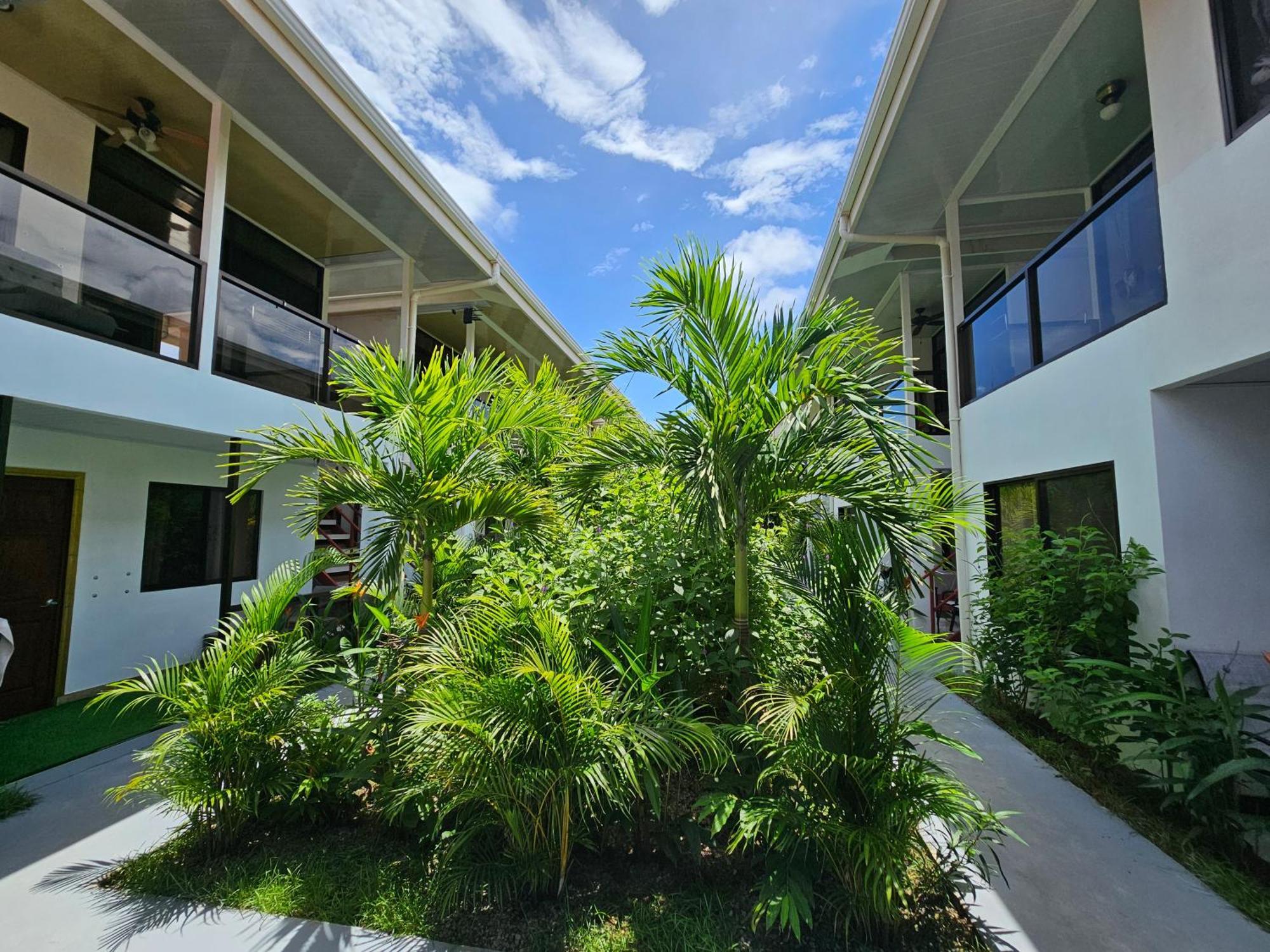 Ballena Rey Hotel Uvita Exterior foto
