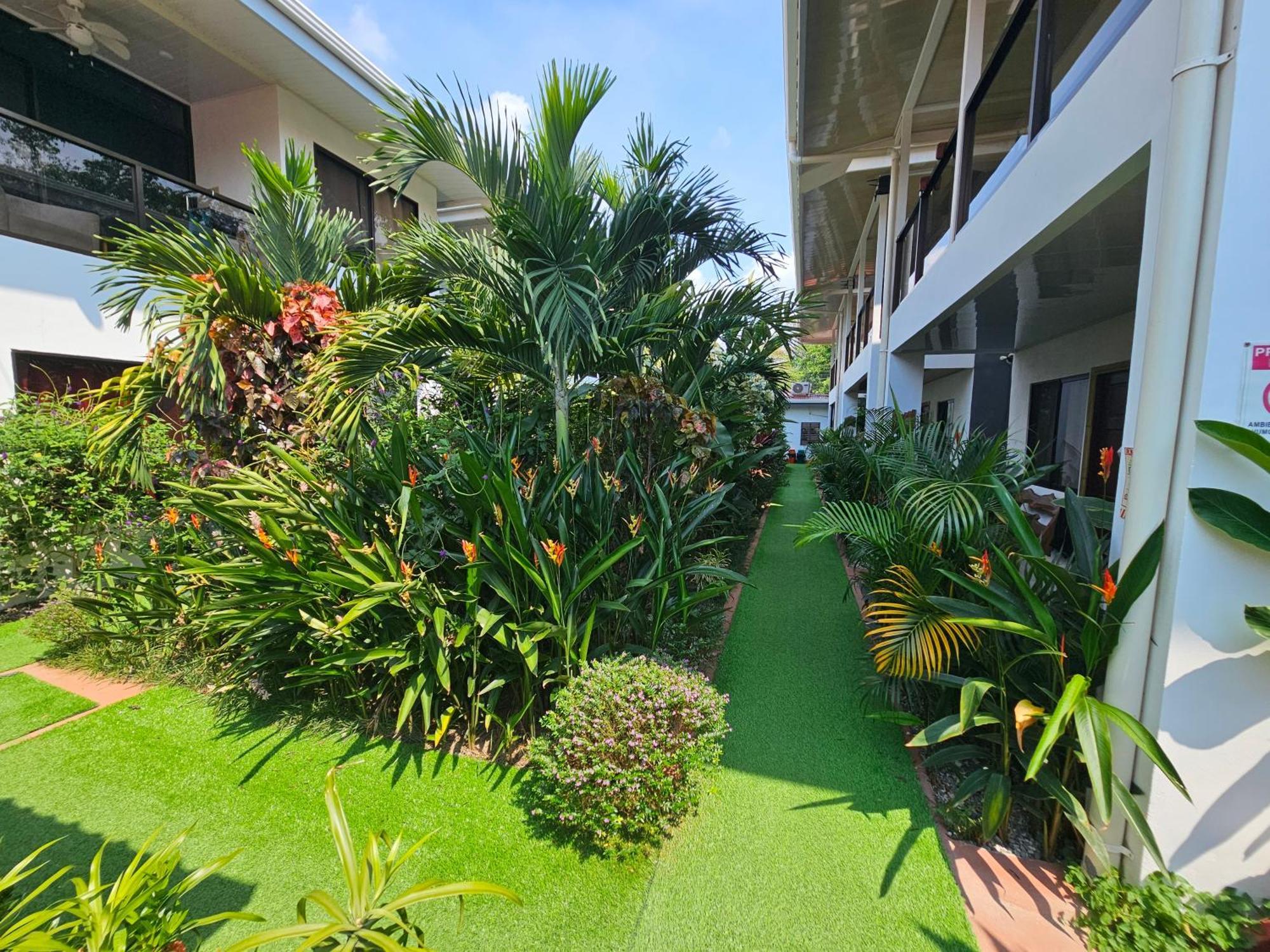 Ballena Rey Hotel Uvita Exterior foto